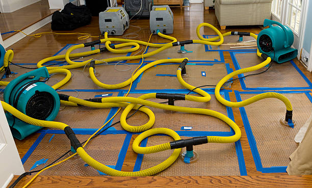 Professional Burst Pipe Water Damage technician working in Stony Point, NY